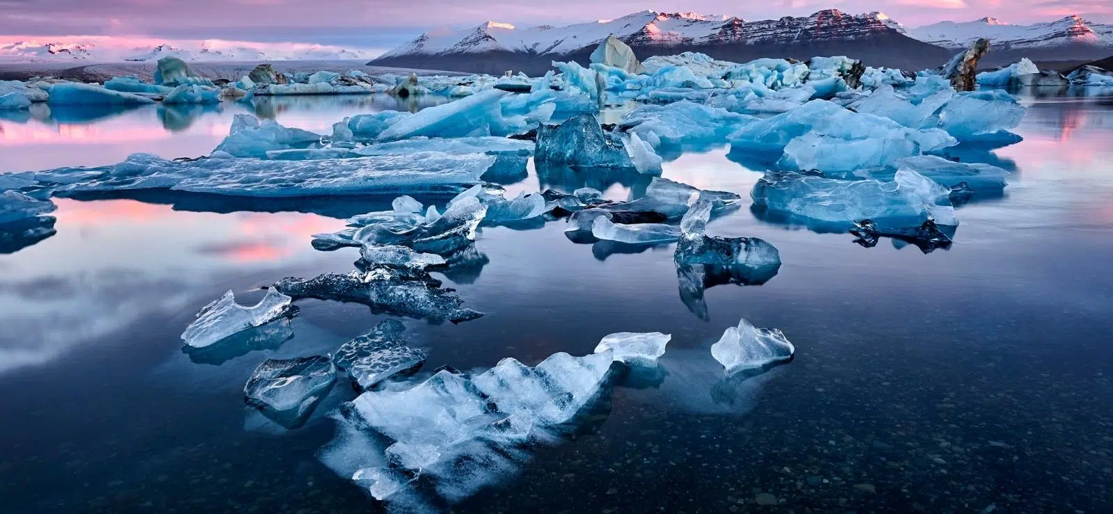 Ice blocks scattered along a black sand beach in Iceland